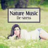 Nature Music – De-stress: The Most Relaxing Sounds, Let Go of Mental Anxiety, Focus and Concentration, Positive Energy, Relax Mind Body, Inner Peace and Serenity album lyrics, reviews, download