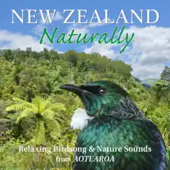 New Zealand Naturally - Relaxing Birdsong and Nature Sounds from Aotearoa by Clive Williamson & Symbiosis album reviews, ratings, credits