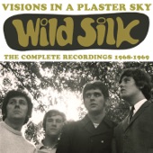 Wild Silk - (Visions in a) Plaster Sky