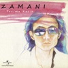 Zamani - Terima Kasih