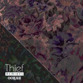 Thief (Botnek Remix) artwork