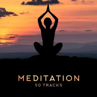 Meditation 50 Tracks: Mindfulness & Deep Meditation Backgrounds by Oasis of Relaxation Meditation & Buddhism Academy album reviews, ratings, credits