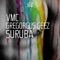 Suruba (Bruno Knauer Instrumental Mix) - VMC & Gregorgus Geez lyrics