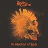 The Attractions of Youth cover