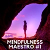 Mindfulness Maestro #1 - Top Meditation Music for Spa, Massage and Relaxation