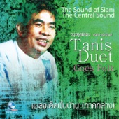 เพลงเด็ดพื้นบ้าน ภาคกลาง (Thai Flute Music By Tanis Sriklindee) artwork