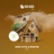 Home (Animal Trainer Remix) - Dario D'Attis, Definition & Animal Trainer lyrics