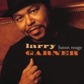 Larry Garner - High On Music