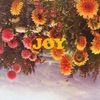 Joy