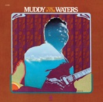 Muddy Waters - Katie