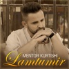 Mentor Kurtishi - Lamtumir