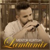 Lamtumir - Single