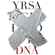 Yrsa Sigurðardóttir - DNA (uforkortet)