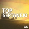 Top Sertanejo 2019 (Movimento Country)