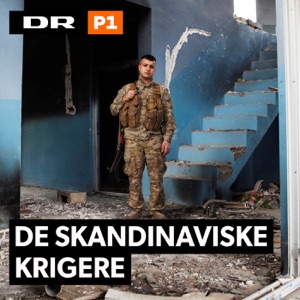 De skandinaviske krigere 3:3 2017-01-20