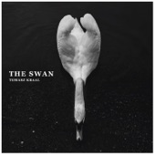 The Swan artwork