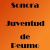 Sonora Juventud De Peumo - Single, 2018