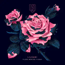 Flors mentre visqui - lildami Flors mentre visqui - lildami