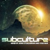 Subculture (Mixed By John O'Callaghan & Cold Blue)