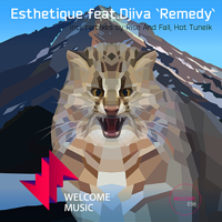 Esthetique, Hot Tuneik & Rise and Fall - Remedy - Single artwork