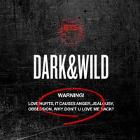 BTS - Dark & Wild artwork