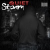 Quiet Storm