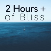 2 Hours of Bliss - Relaxing Music with Nature Sounds (Rain, Sea Waves, Wind) artwork