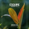 eSQUIRE Takeover, Vol. 1 - EP