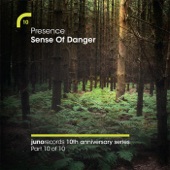 Sense of Danger (Calibre Remix) [feat. Shara Nelson] artwork
