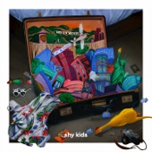 shy kids - If I Was in Hawaii…