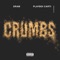 Crumbs - Shelley FKA DRAM & Playboi Carti lyrics