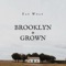Brooklyn (Sad Piano Version) - Fay Wolf lyrics