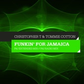 Funkin' for Jamaica (F4J Radio Mix) artwork