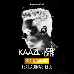 Black Sahara (feat. Aloma Steele) [Extended Mix] Song Lyrics