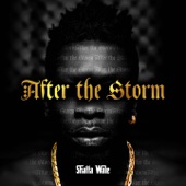 After the Storm artwork