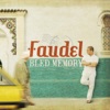 Faudel - Khalini
