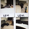 Levi - EP