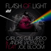 Flash of Light (feat. Joe Bloom) [Radio Edit] artwork