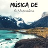 La Voz de la Naturaleza - Descubrir la Verdad