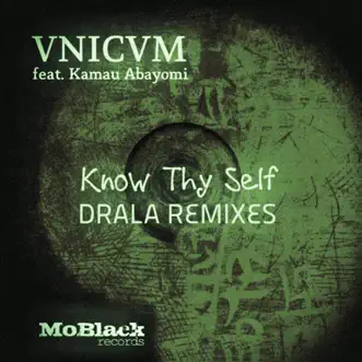 Know Thy Self (feat. Kamau Abayomi) [Drala Celestial Mix] by VNICVM song reviws