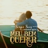 Meu Bem Querer - Single