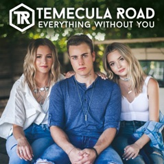 Everything Without You - Single