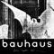 Harry - Bauhaus lyrics