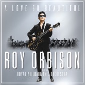 A Love So Beautiful: Roy Orbison & the Royal Philharmonic Orchestra cover