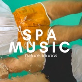 Spa Music: Ultimate Wellness Tracks Collection with New Age Zen Music and Nature Sounds artwork