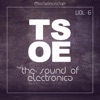 TSOE (The Sound of Electronica), Vol. 6, 2017