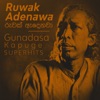Ruwak Adenawa, 2017