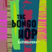 The Bongo Hop - Jashu