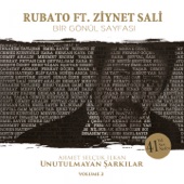 Bir Gönül Sayfası (feat. Ziynet Sali) [Ahmet Selçuk İlkan Unutulmayan Şarkılar, Vol. 2] artwork