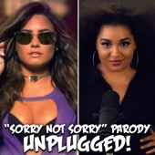 "Sorry Not Sorry" Parody of Demi Lovato's "Sorry Not Sorry" artwork